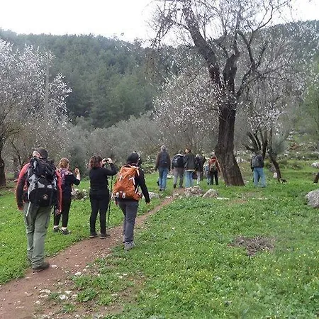 Twins Apart Appart hôtel Turgutkoy