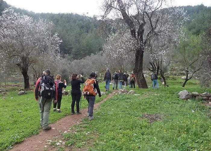 Twins Apart Apart Otel Turgutkoy